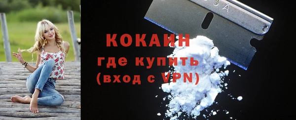 бошки Горняк