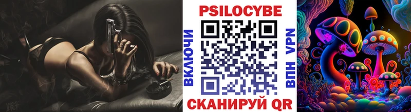 купить закладку Грязовец Псилоцибиновые грибы Cubensis